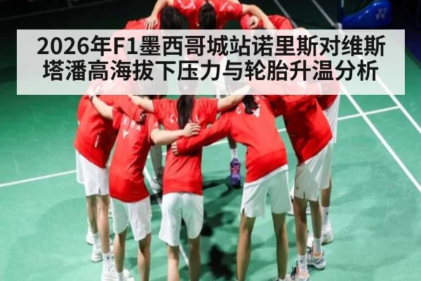 2026年F1墨西哥城站诺里斯对维斯塔潘高海拔下压力与轮胎升温分析